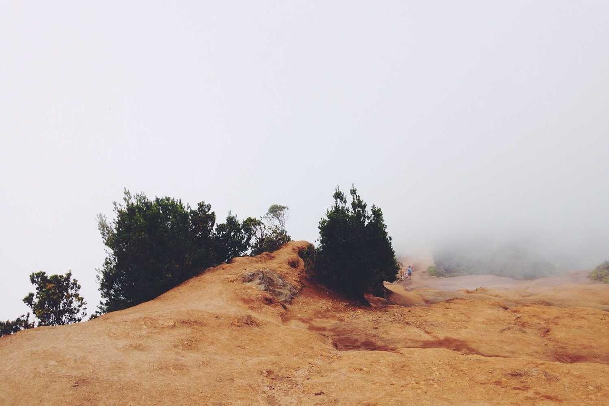 Neque eaque omnis qui veniam